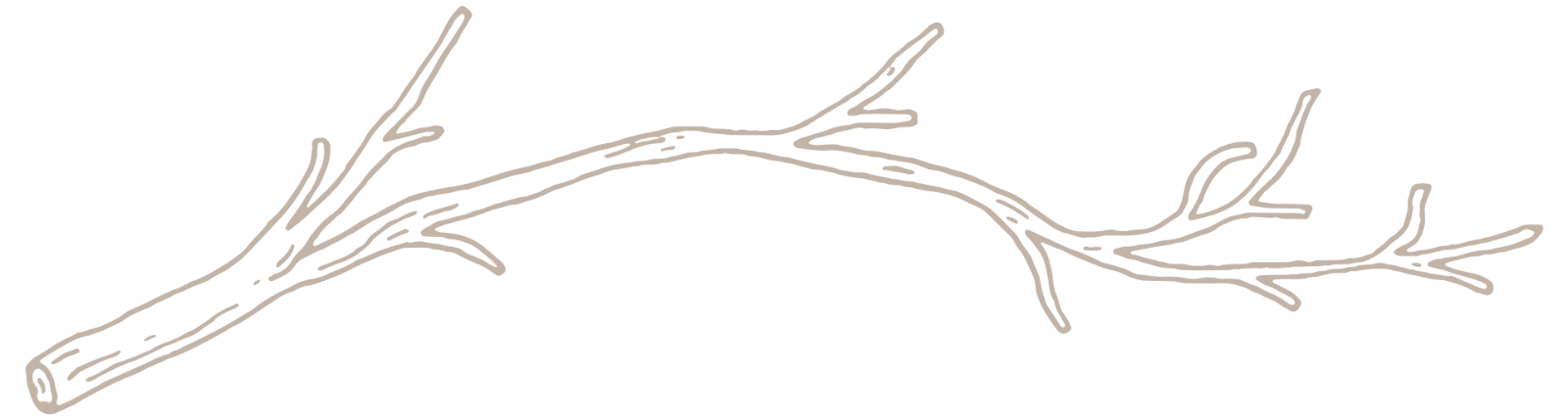 unnamed image